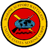 Marine support battalion -- Courtesy of Lt. Orlando Gallardo, Jr.