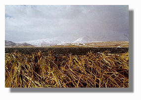 CDAA and NCS during snow storm at Adak