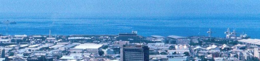 Panorama_waikiki_ala_moanaRow3xCol3.jpg