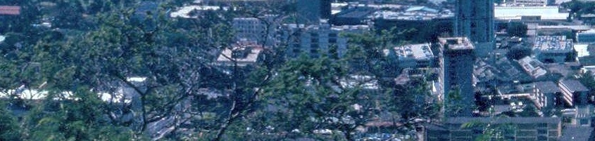 Panorama_waikiki_ala_moanaRow4xCol2.jpg