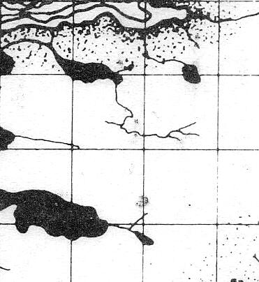 adak_map_68Row4xCol3.jpg