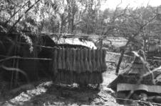 Japan, drying rice straw, 1958-1959