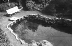 Japan, Gold Fish Pond, 1958-1959