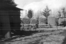 Japanese Rice Stacks, 1958-1959